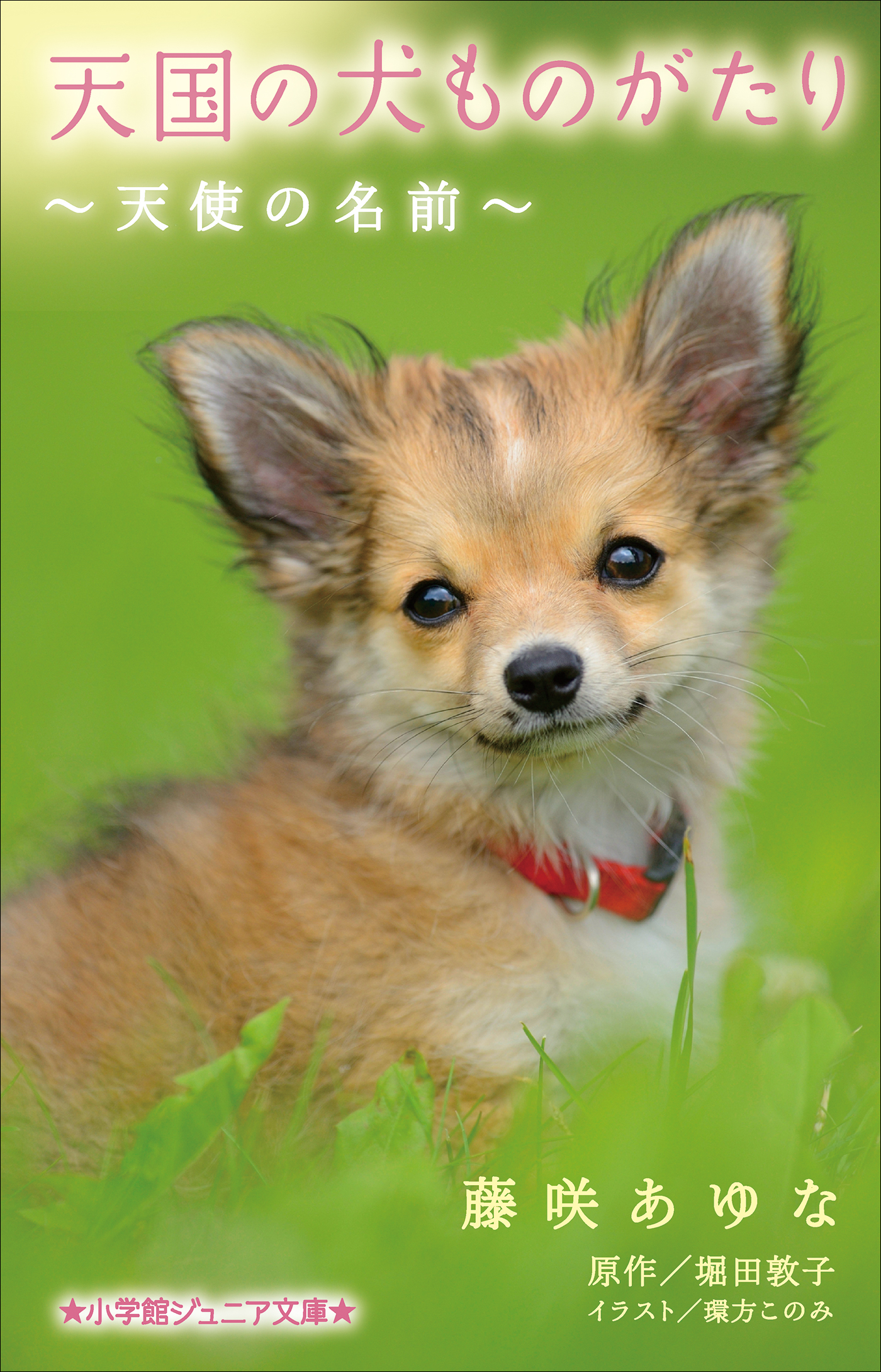 天国の犬ものがたり～天使の名前～（小学館ジュニア文庫）
