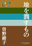 地を潤すもの(P+D BOOKS)