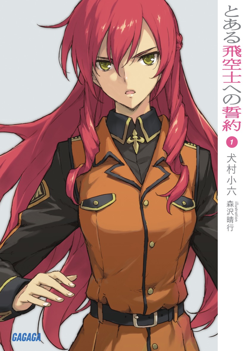 とある飛空士への誓約1（ガガガ文庫）