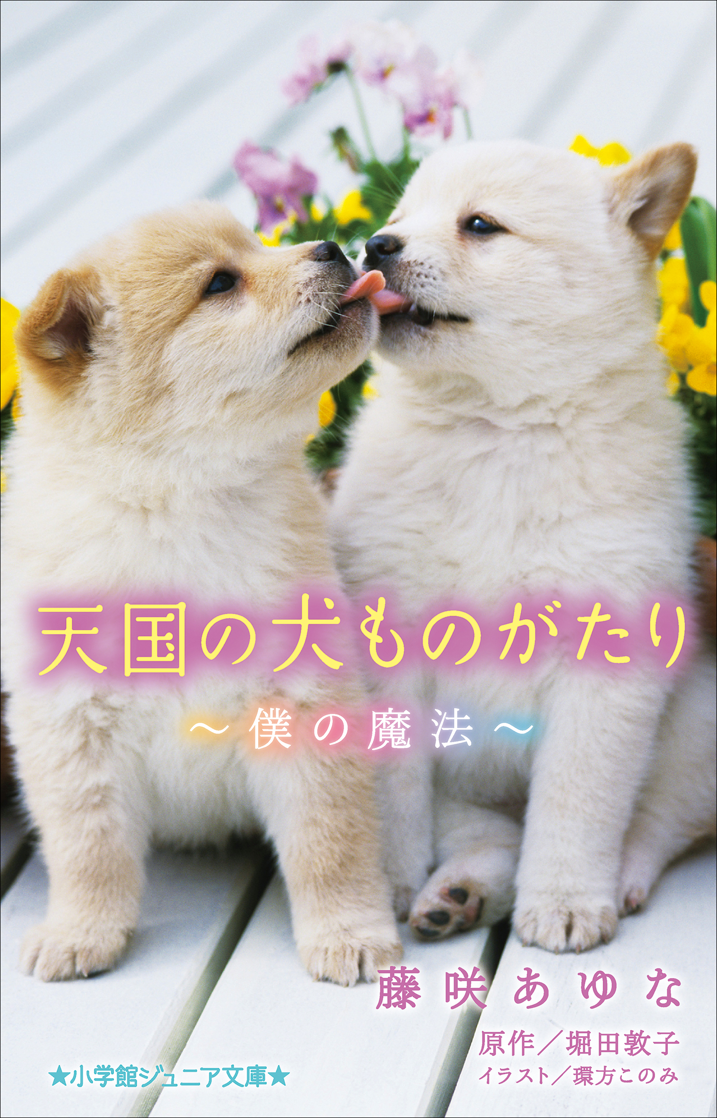 天国の犬ものがたり～僕の魔法～（小学館ジュニア文庫）