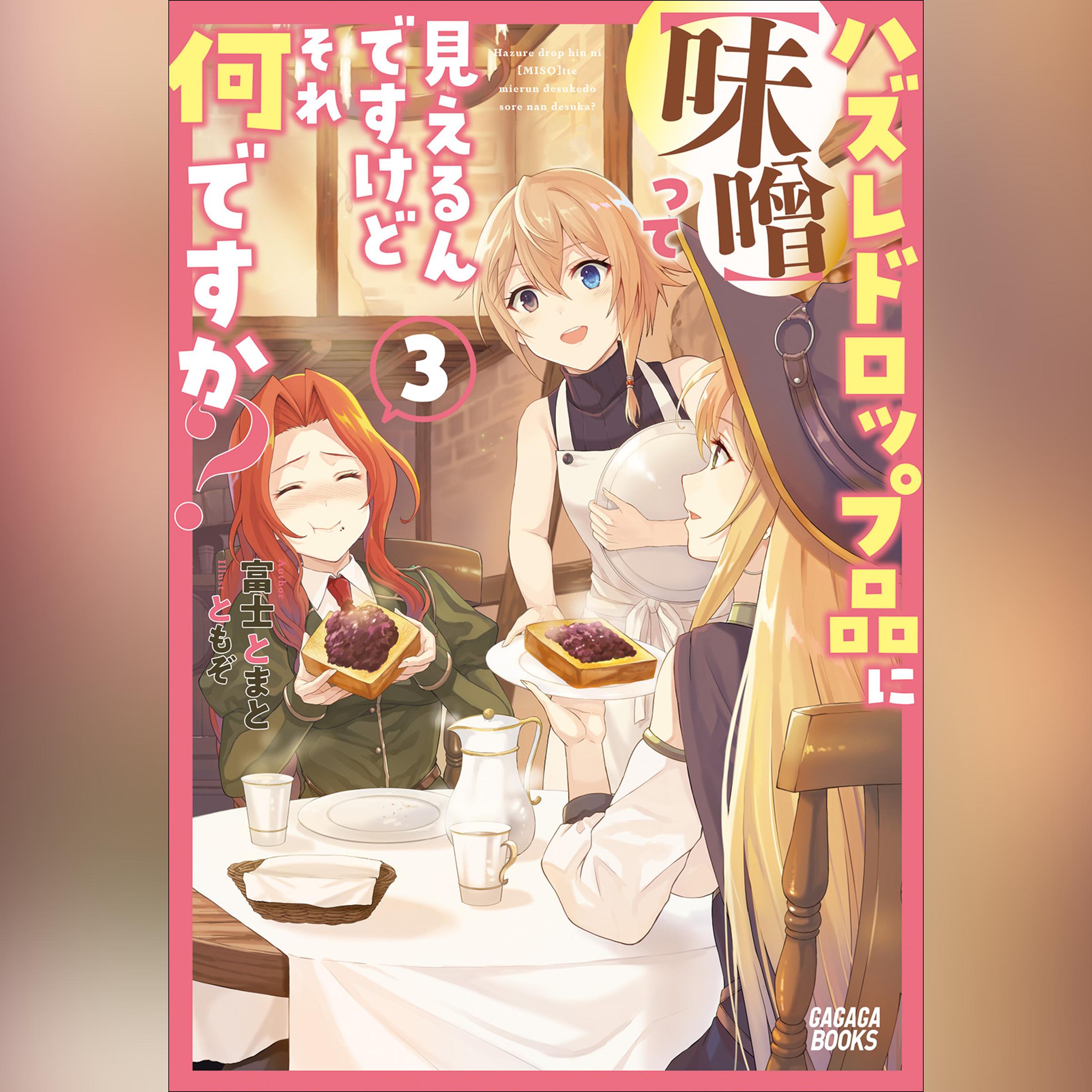 ハズレドロップ品に【味噌】って見えるんですけど、それ何ですか？ 3　（ガガガ文庫）