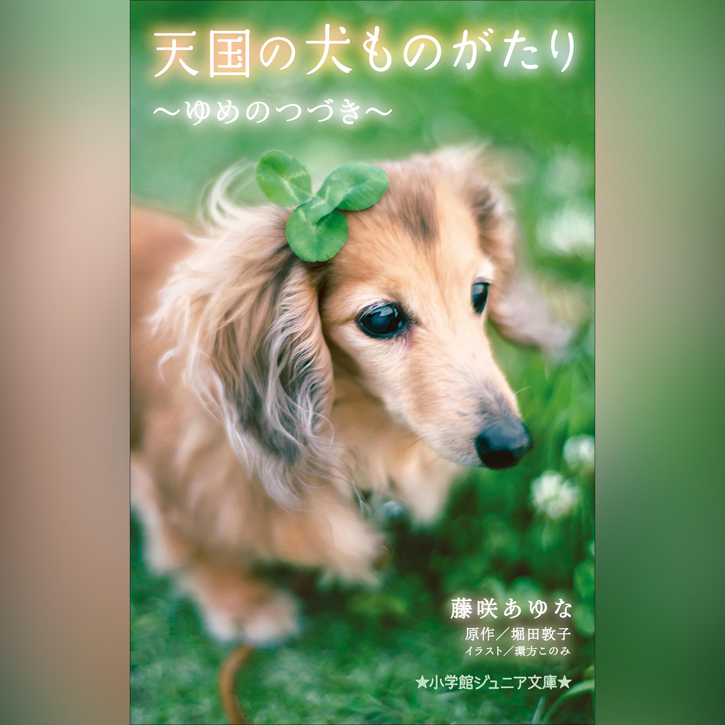 天国の犬ものがたり～ゆめのつづき～ （小学館ジュニア文庫）