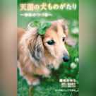 天国の犬ものがたり~ゆめのつづき~ (小学館ジュニア文庫)