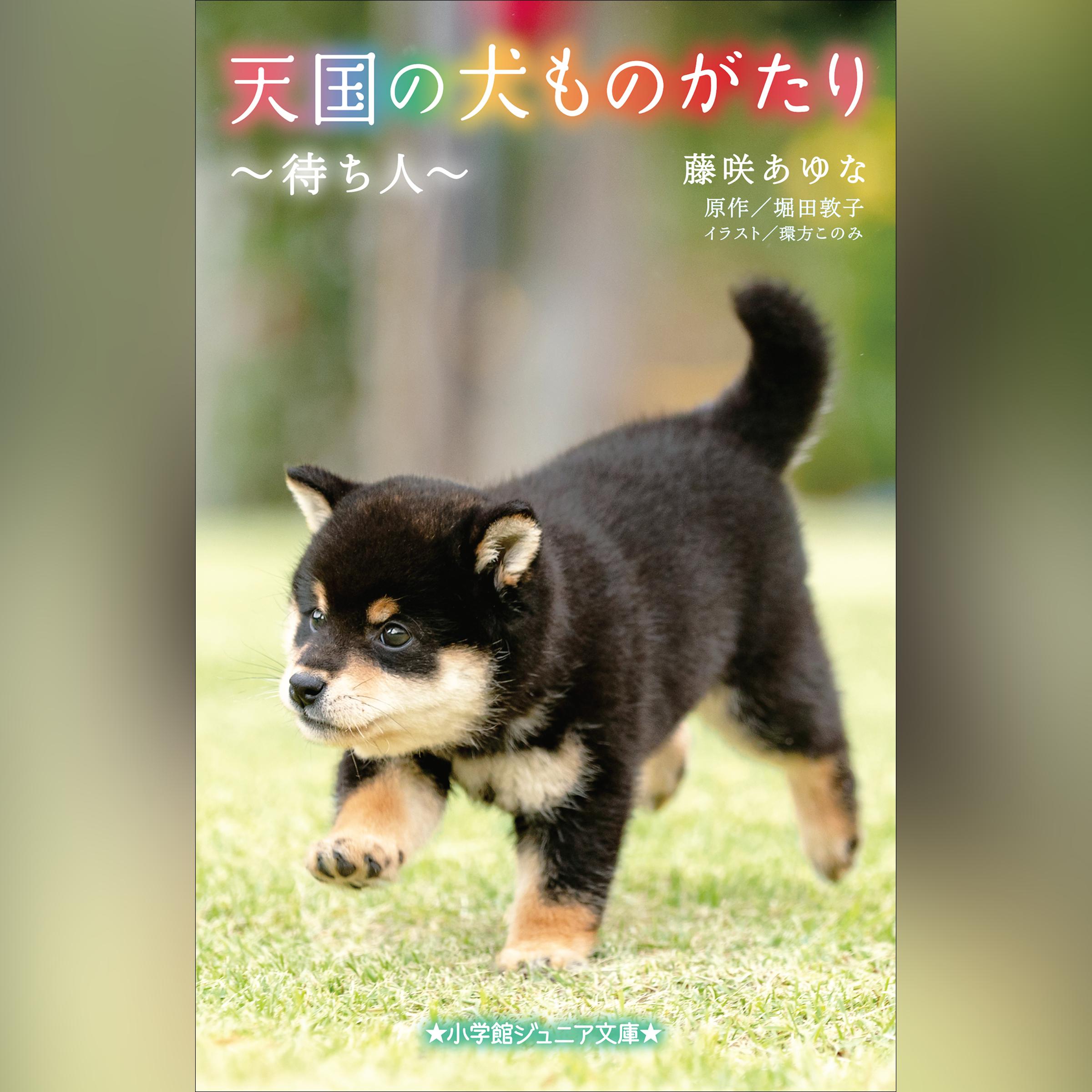 天国の犬ものがたり～待ち人～ （小学館ジュニア文庫）