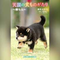 天国の犬ものがたり~待ち人~ (小学館ジュニア文庫)