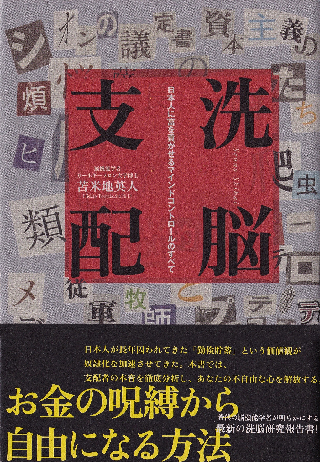 ２作品の出品です苫米地英人 自分を脱洗脳して無限の富を得る方法