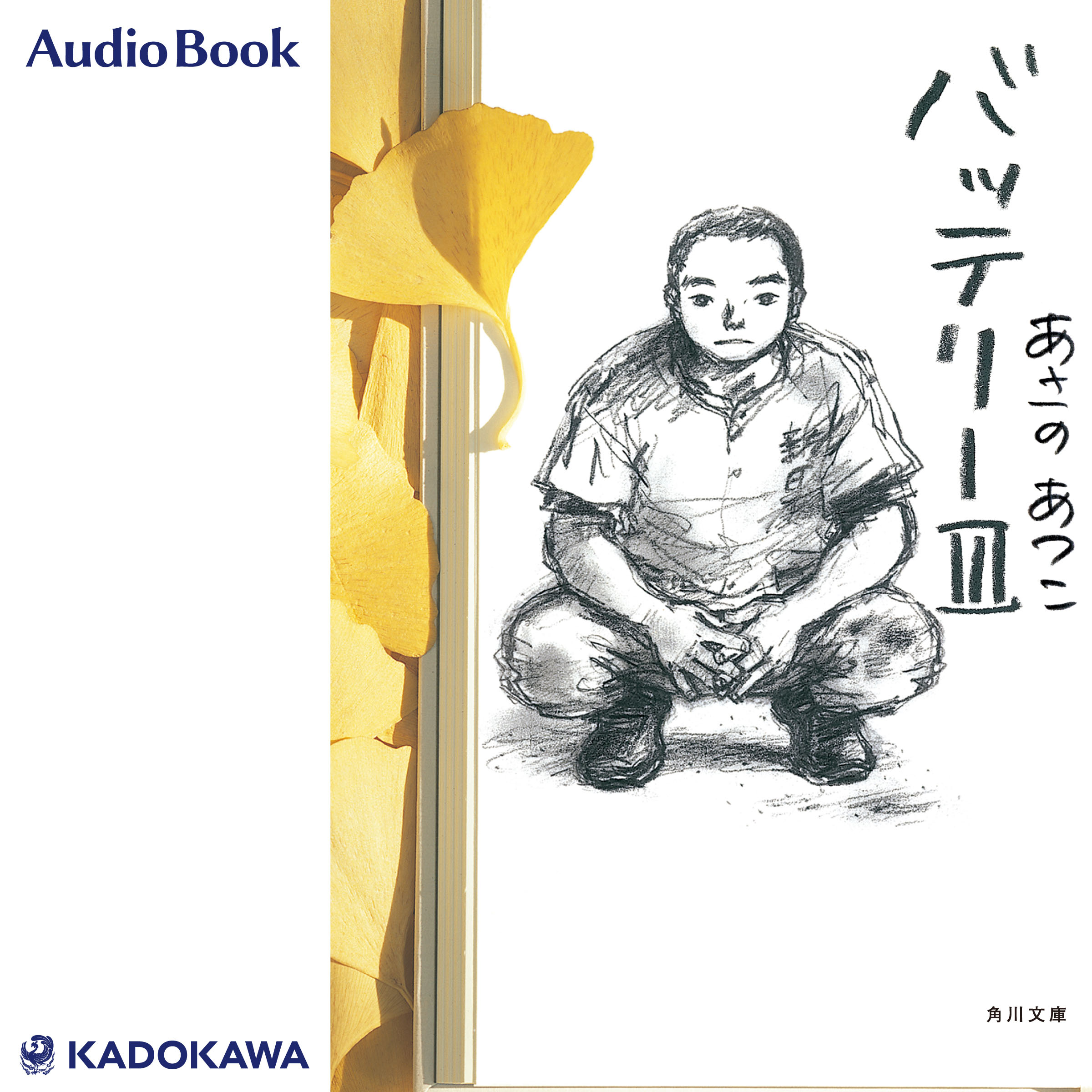 バッテリーＩＩＩ