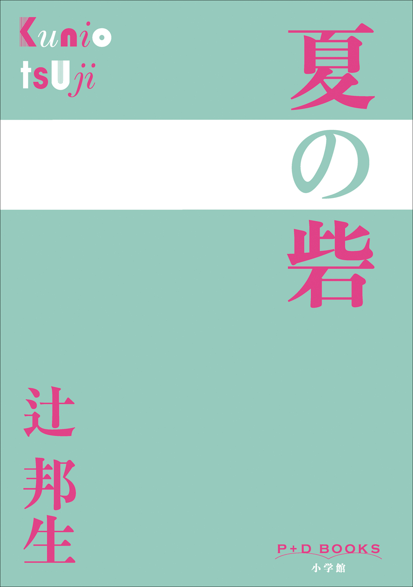 夏の砦（P+D BOOKS）