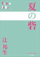 夏の砦(P+D BOOKS)
