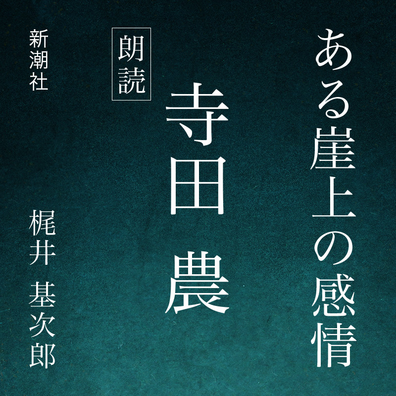 ある崖上の感情