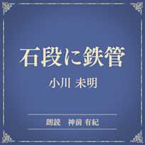 石段に鉄管(小学館の名作文芸朗読)