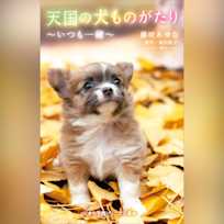 天国の犬ものがたり~いつも一緒~ 小学館ジュニア文庫