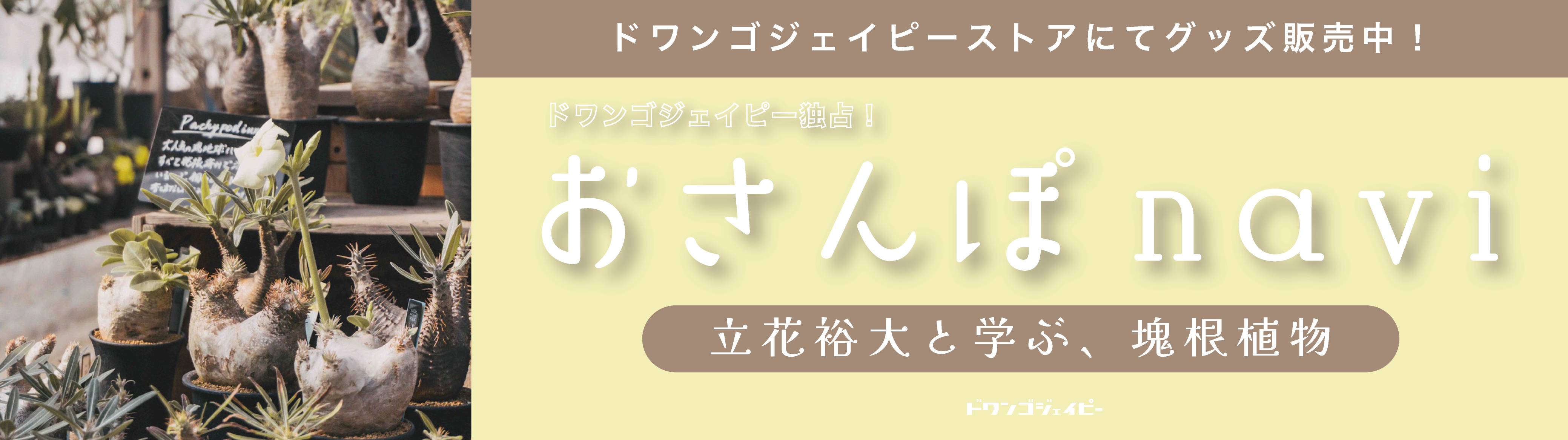 おさんぽnavi