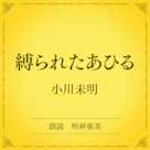縛られたあひる(小学館の名作文芸朗読)