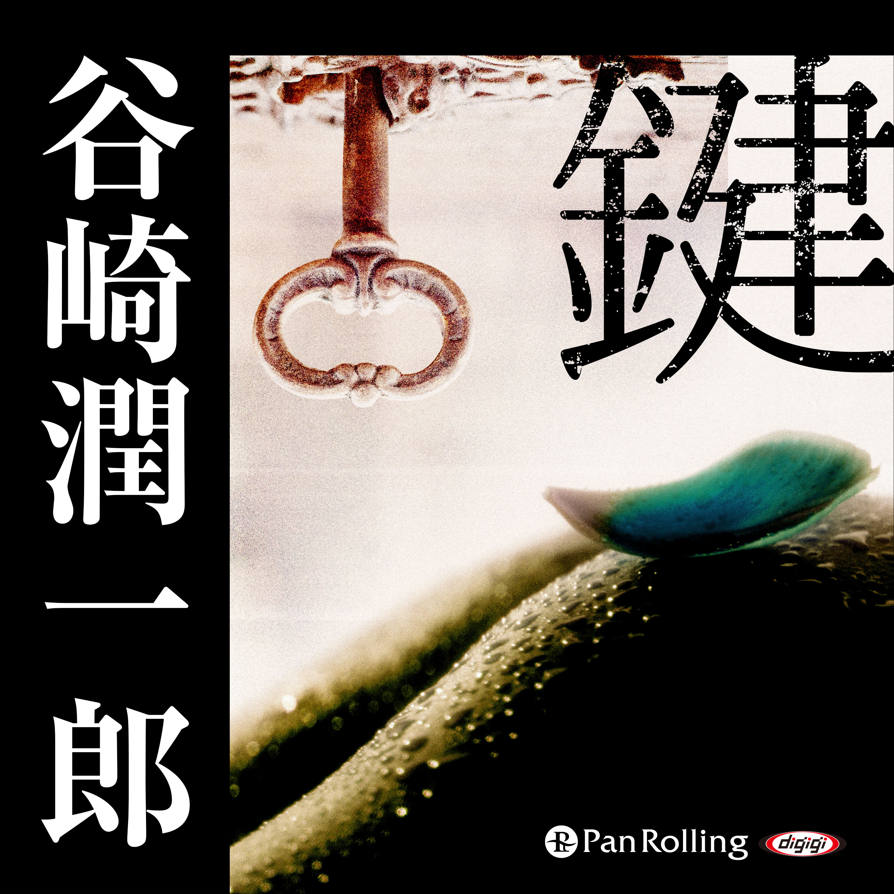 谷崎潤一郎「鍵」