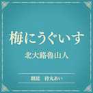 梅にうぐいす(小学館の名作文芸朗読)