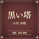 黒い塔(小学館の名作文芸朗読)