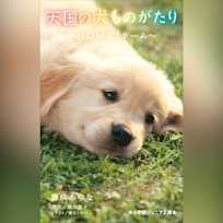 天国の犬ものがたり~HOME ホーム~ (小学館ジュニア文庫)