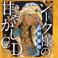 13 将来の夢が見つからない。~乙女のどんな悩みも100%解決!シーク様(CV:前野智昭)の超絶甘やかしドラマCD~