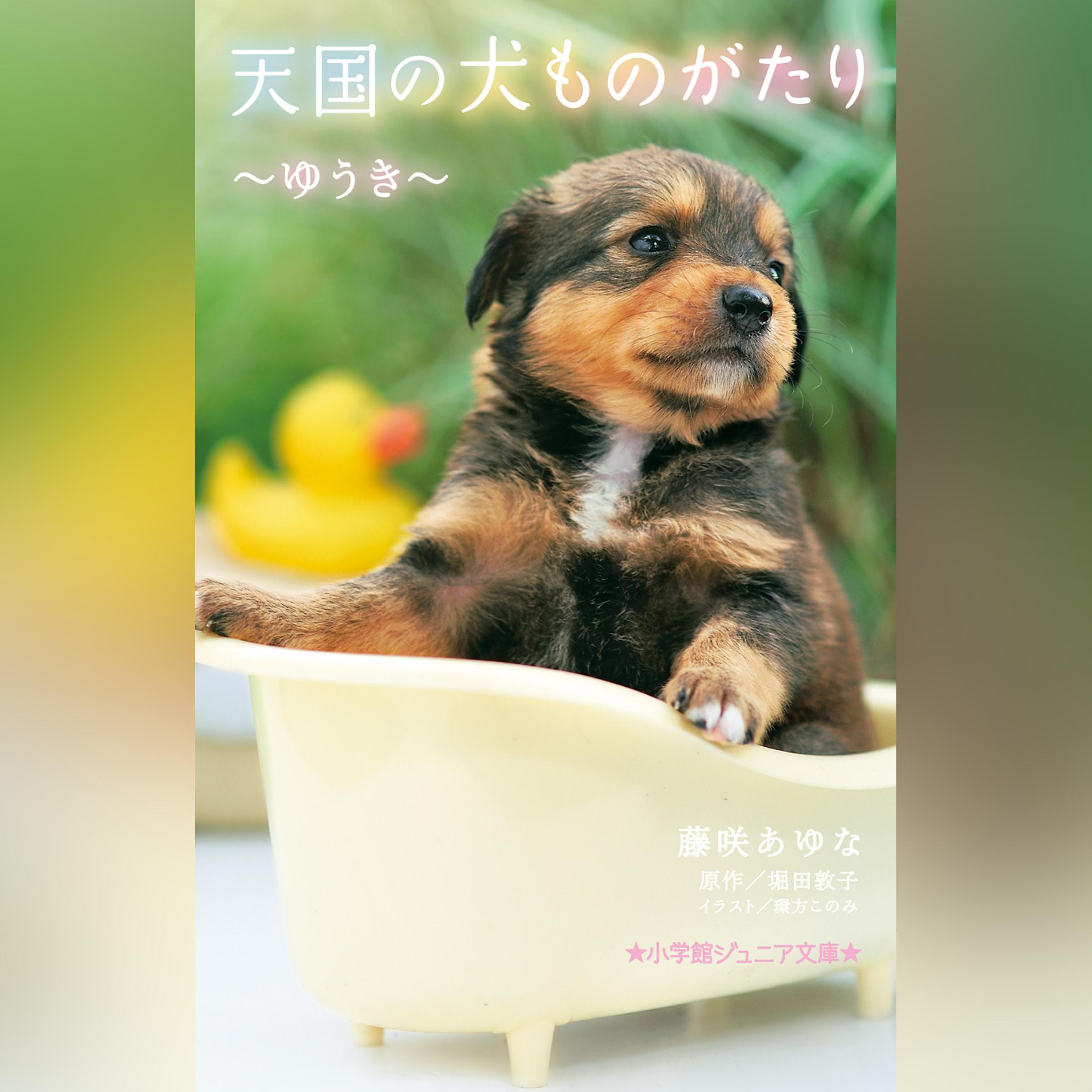 天国の犬ものがたり～ゆうき～ （小学館ジュニア文庫）