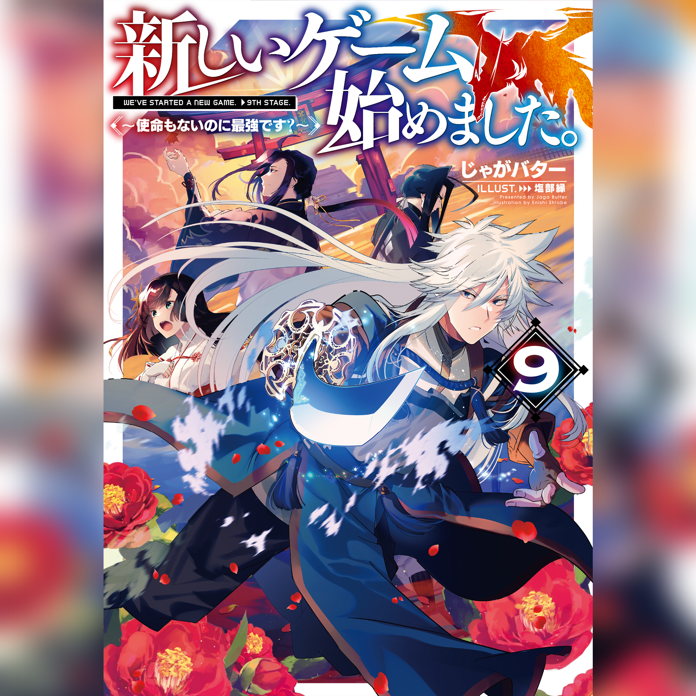 新しいゲ ーム始めました。9 ～使命もないのに最強です？～