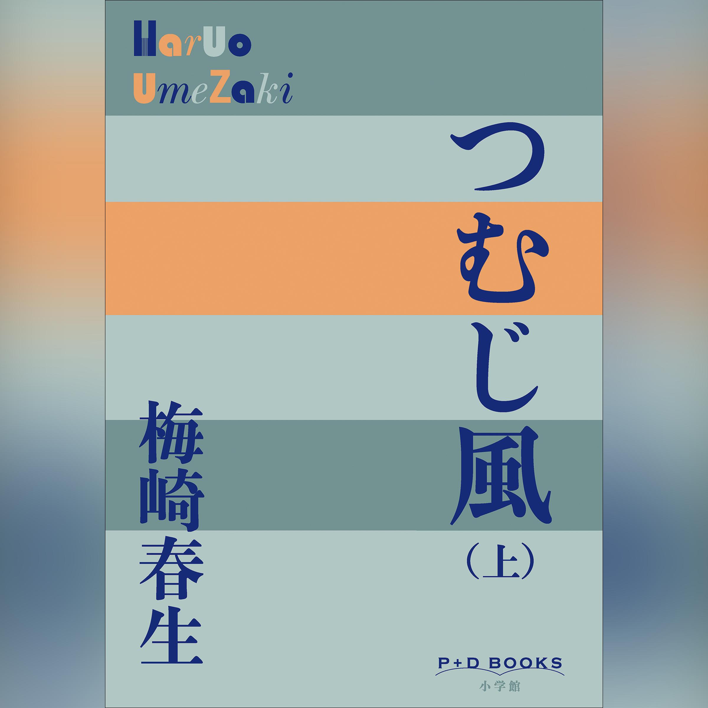 つむじ風 上 (P+D BOOKS）