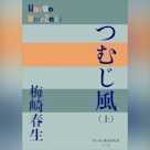 つむじ風 上 (P+D BOOKS)