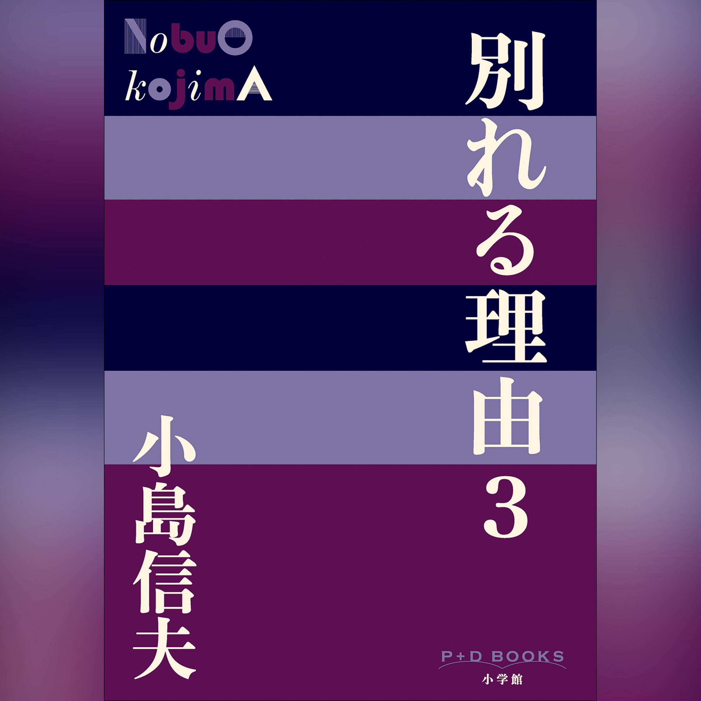 別れる理由3 （P+D BOOKS）