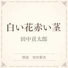 白い花赤い茎(小学館の名作文芸朗読)