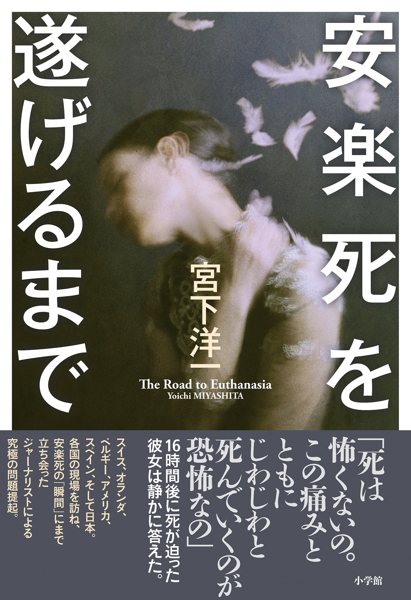安楽死を遂げるまで