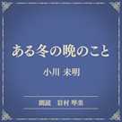 ある冬の晩のこと(小学館の名作文芸朗読)