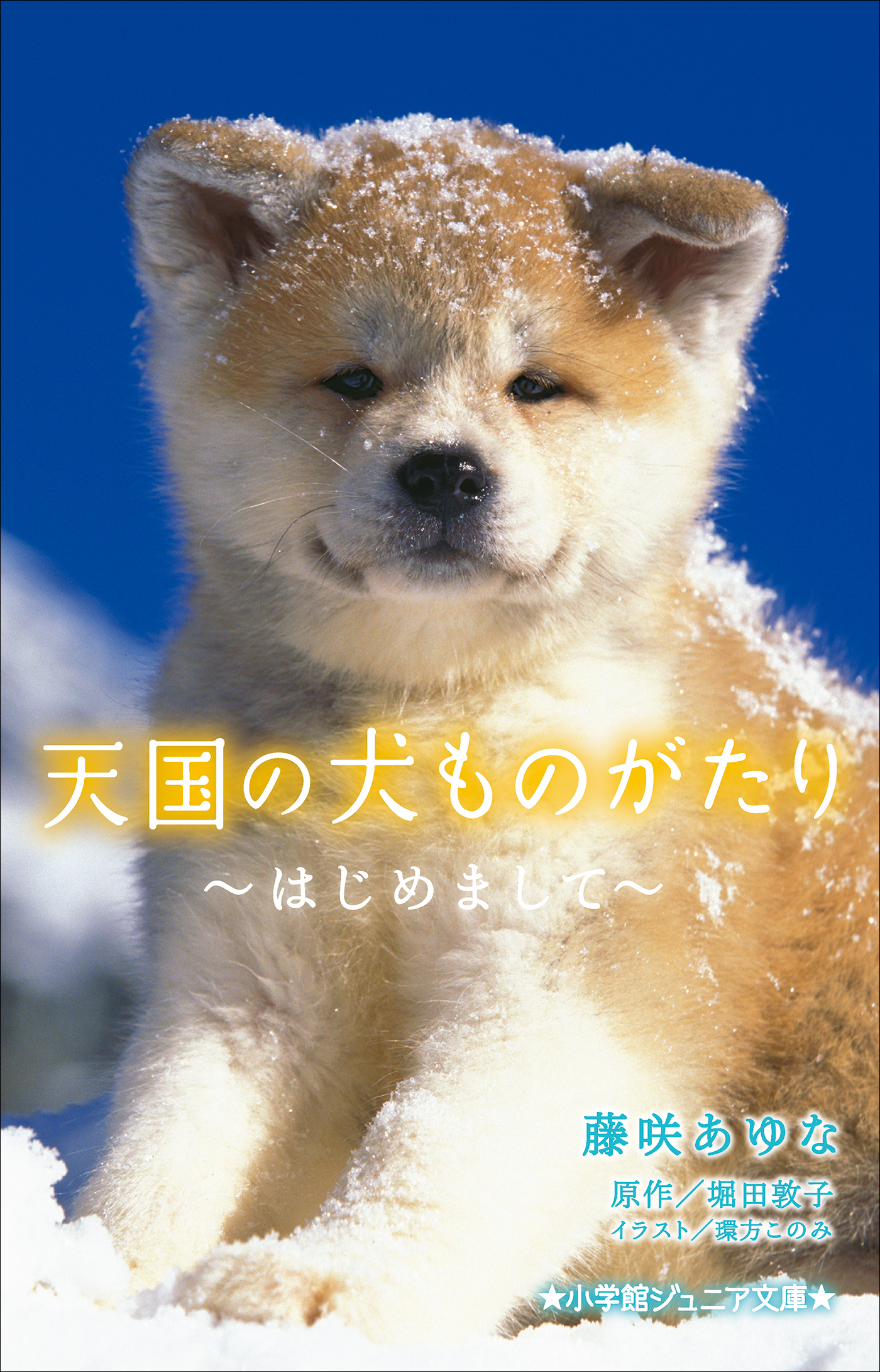 天国の犬ものがたり～はじめまして～（小学館ジュニア文庫）