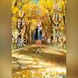 琥珀の秋、0秒の旅 (ガガガ文庫)