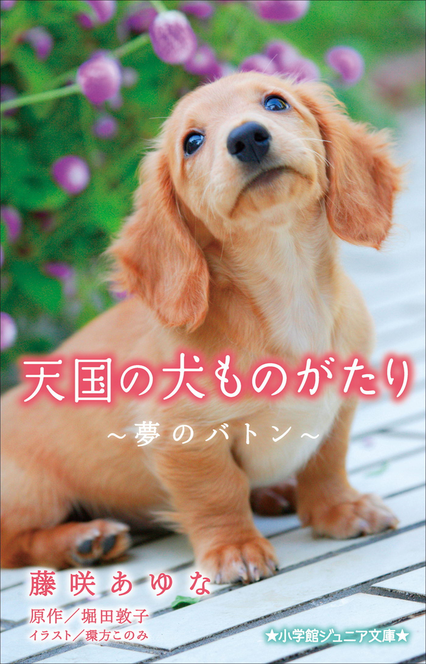 天国の犬ものがたり～夢のバトン～（小学館ジュニア文庫）