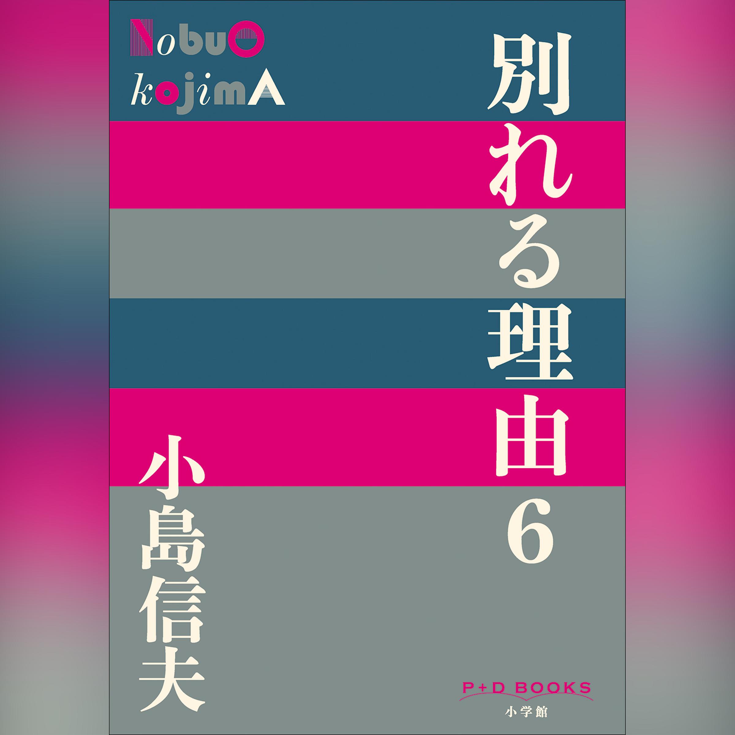 別れる理由6 （P+D BOOKS）