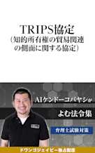 AIケンドーコバヤシがよむ法令集「TRIPS協定」