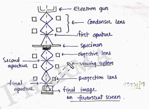 Screenshot 2026-04-06 111842