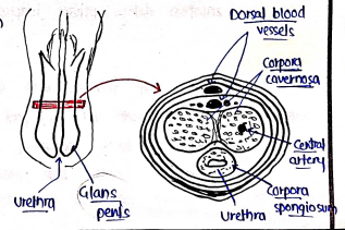 Screenshot 2026-03-08 151431