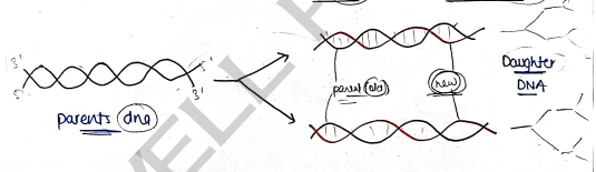 Screenshot 2026-03-10 105453