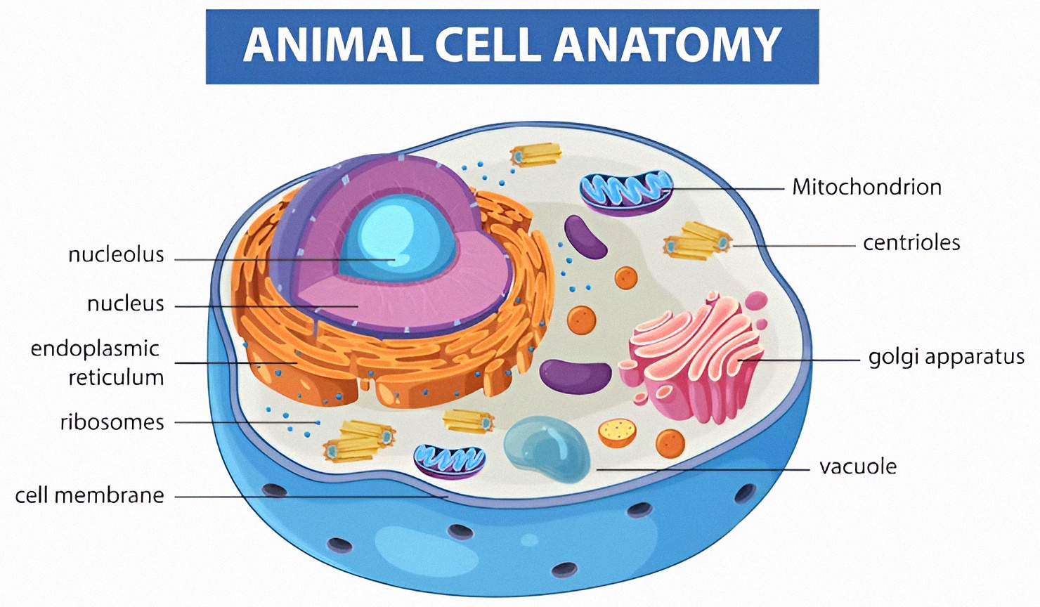 Upfoto 9R21w7VGuN3sp8pSqYihp17MobDLuKIvCnLsFyJRwVOuY