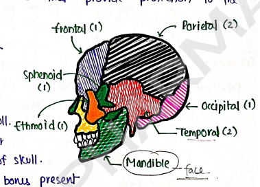 Screenshot 2026-02-10 150148