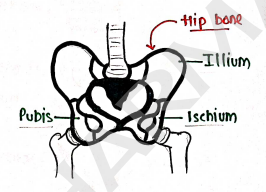 Screenshot 2026-02-10 150121