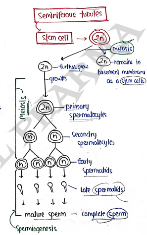 Screenshot 2026-03-08 151803