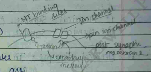 Screenshot 2026-02-23 203640