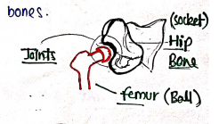 Screenshot 2026-02-10 230824