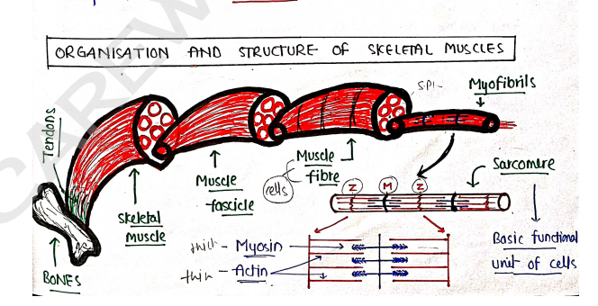 Screenshot 2026-02-10 150241