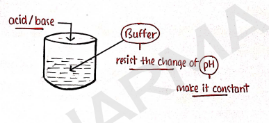 Screenshot 2026-02-16 161944