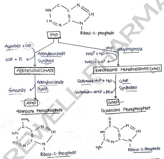 Screenshot 2026-03-10 105149