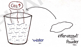 Screenshot 2026-02-16 153744