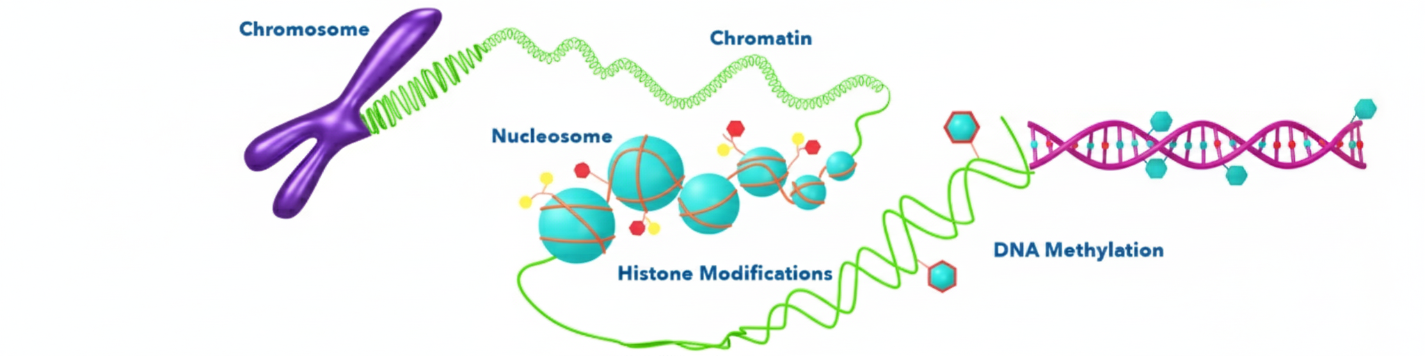 Gemini Generated Image tvx538tvx538tvx5